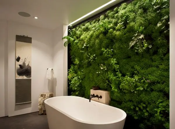 Feature Wall Vertical Garden