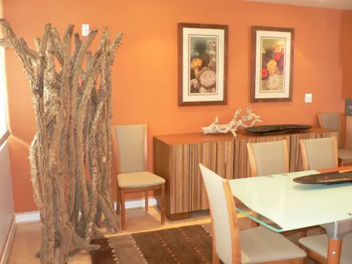 Orange Room Colours