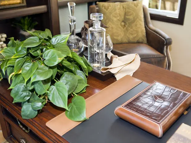 philodendron centre piece