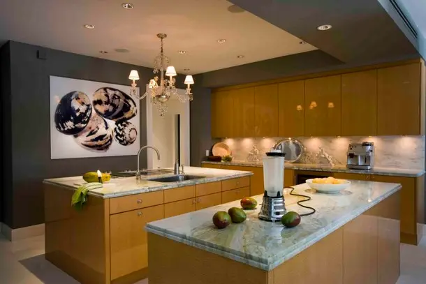elegant modern kitchen