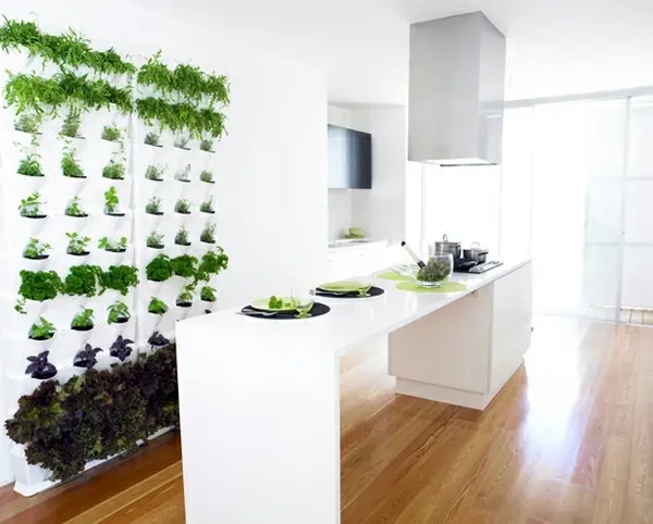 indoor kitchen wall herb garden