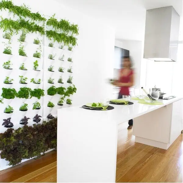 kitchen wall herb garden