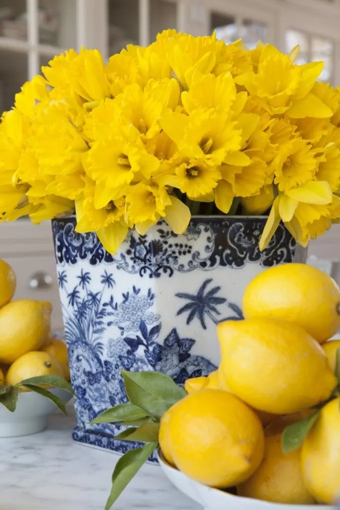 yellow flowers in a white and blue bowl