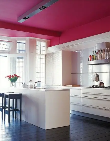 sophisticated modern kitchen with red ceiling