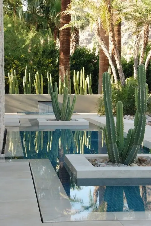 Wet Edge Pool with Planters