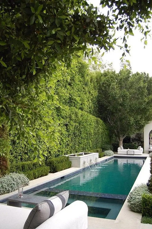 Narrow Swimming Pool