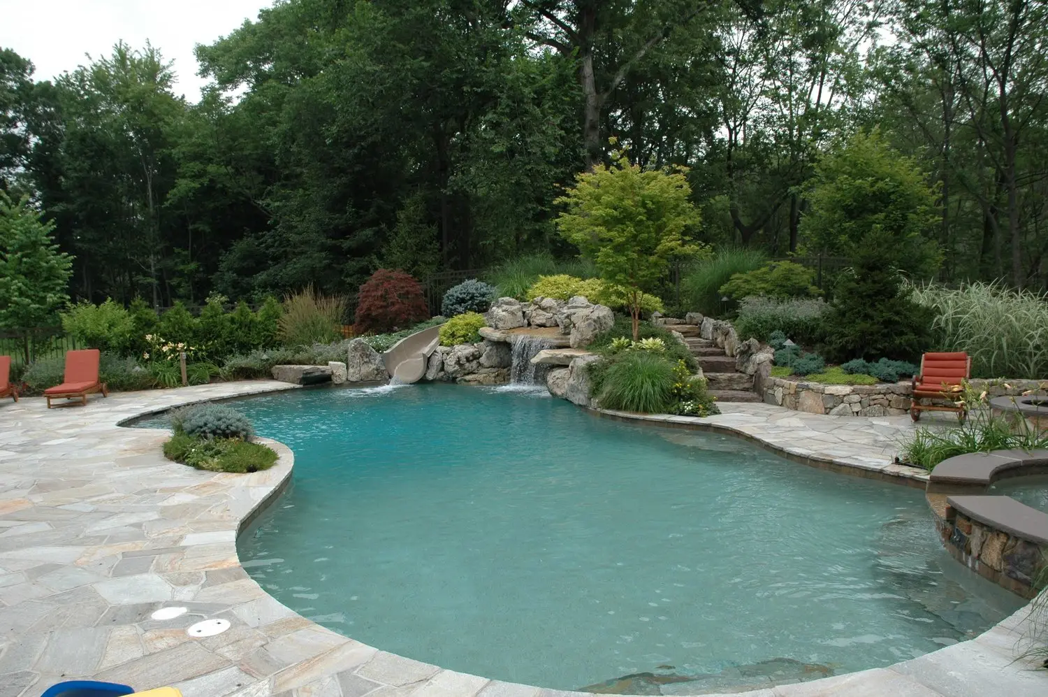 irregular shaped Natural Pool