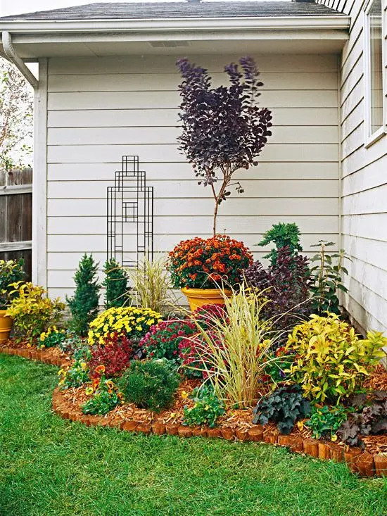 colourful pocket garden