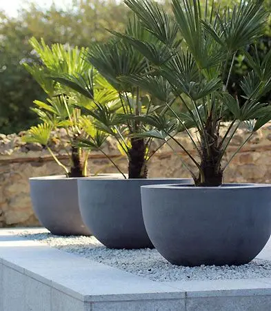 large modern concrete planters