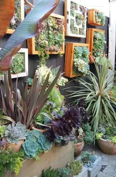 small space succulents garden