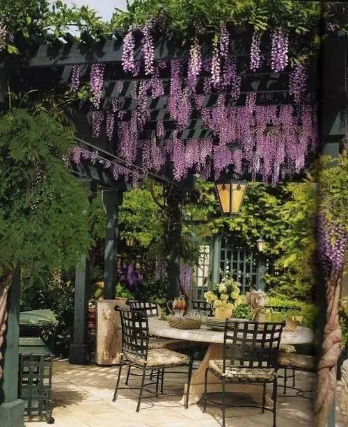 small backyard with pergola