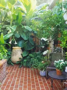 small bricked backyard