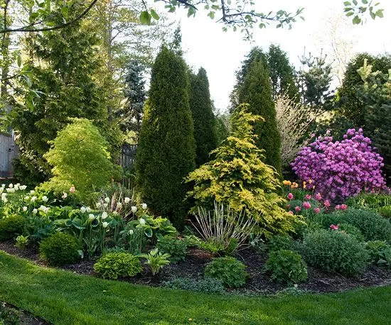 vibrant garden cluster