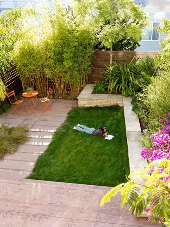 cool tropical garden design