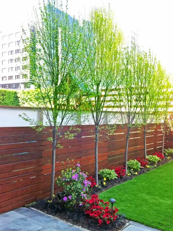 wood fence and trim side trees
