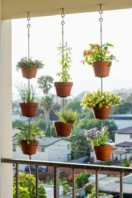 apartment verandah with hanging planters