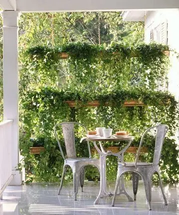 verandah with plant privacy screen