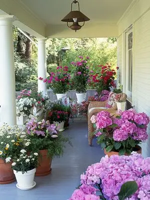 Flower Perfect front verandah: A crowd of bright flowers fixes a drab front faster than paint. Geraniums and petunias handle