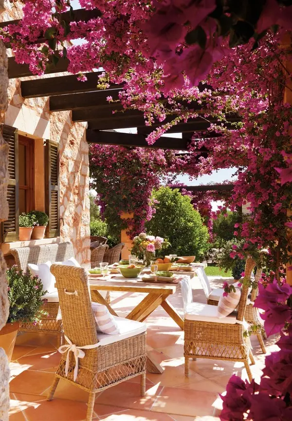 verandah with bougainvillea climbers