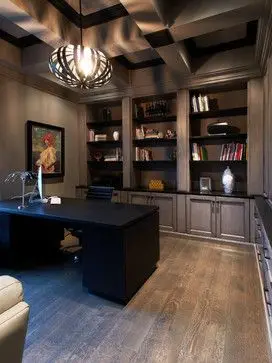 coffered cosmopolitan home office