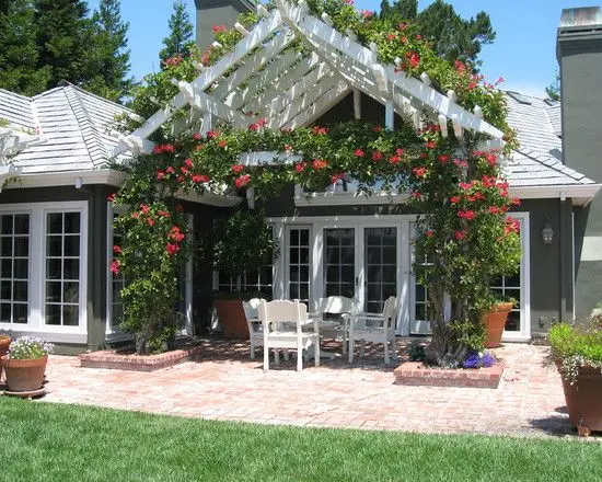 pitched patio pergola with flower creepers
