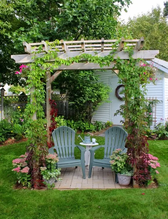 small garden pergola with creepers