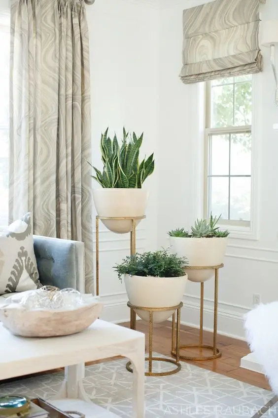 living room with indoor plants