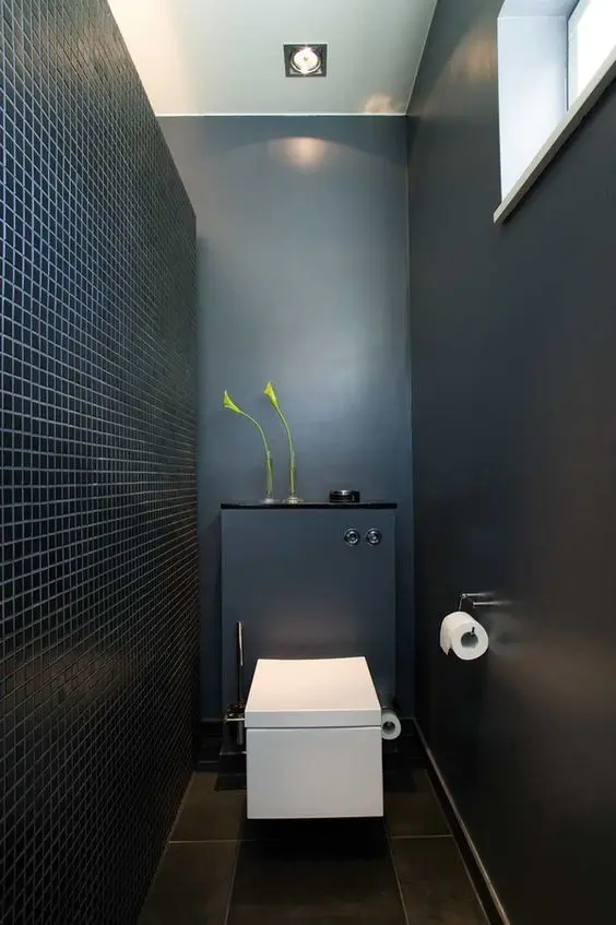 modern black and white toilet