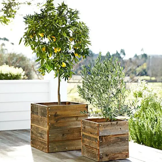 wood box outdoor planters