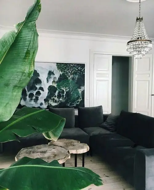 tropical inspired living room