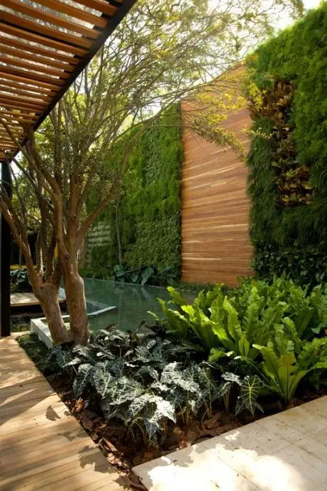 Modern and Lush Garden Wall fence: Water, dark timber and layered planting against the boundary