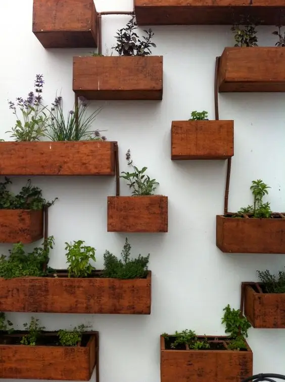 Concrete and Wall Planters fence: Planter boxes bolted straight onto a concrete fence, shrubs on the street side