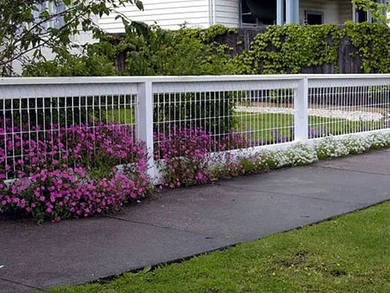 Classic White Fence: A low white iron fence, stripped of curlicues
