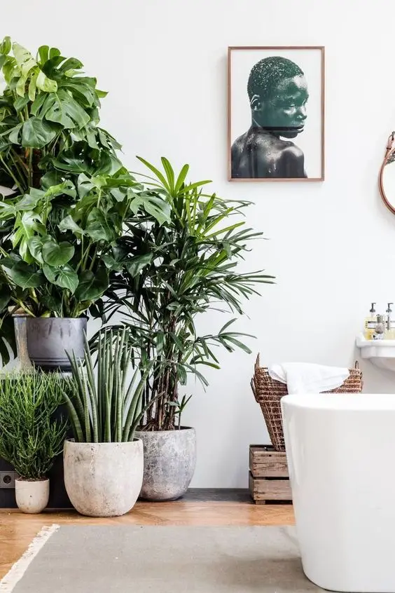 Indoor Plants Scandinavian interior: The use of natural elements as decoration is fundamental to the modern Scandinavian