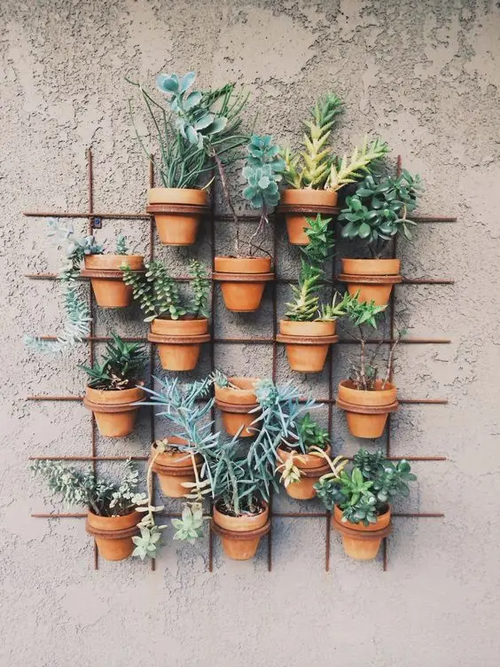 potted wall plants