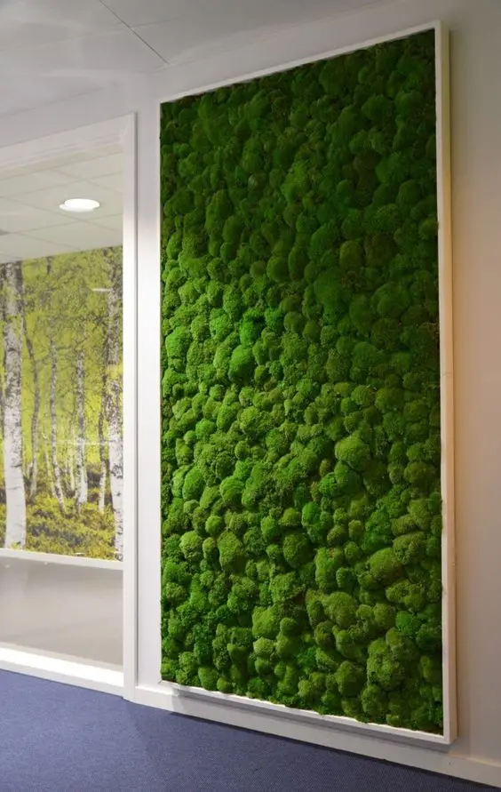 indoor moss wall