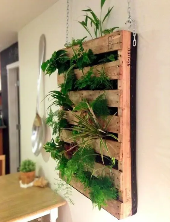 pallet wall garden