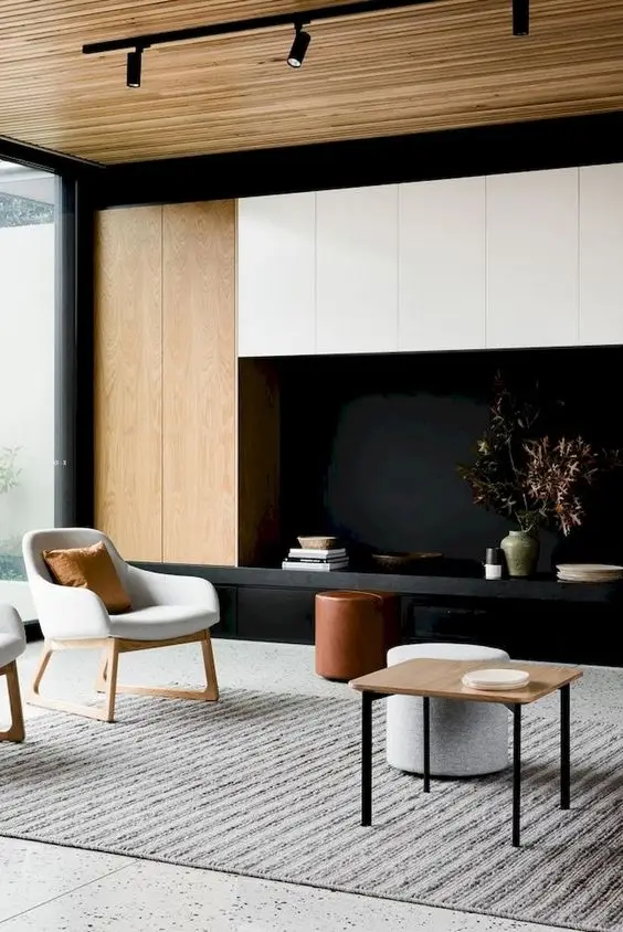 modern minimalist living room