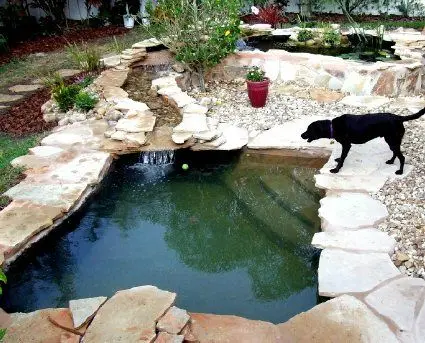 diy dog pond