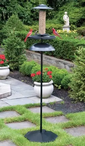 bird feeder