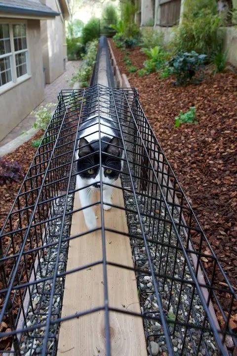 catwalk on a fence