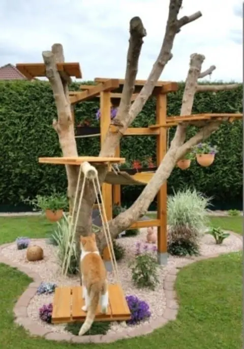 cat tree