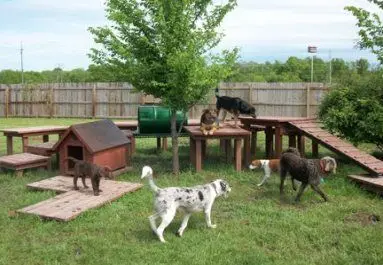 pet playground backyard