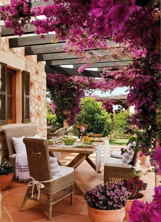 hibiscus arbour