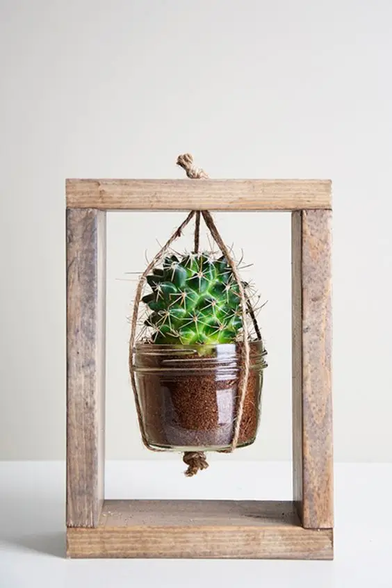 Succulent Planter DIY home décor: Attractive and easy to make, this DIY succulent planter will give your home a pretty pop