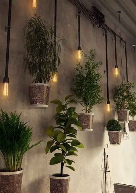 indoor wall garden