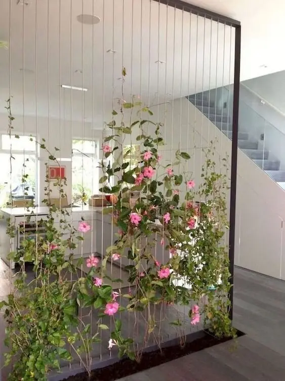 Plant Climbers Wall DIY room divider: Having an indoor garden will liven up your space with colours and help freshen indoor