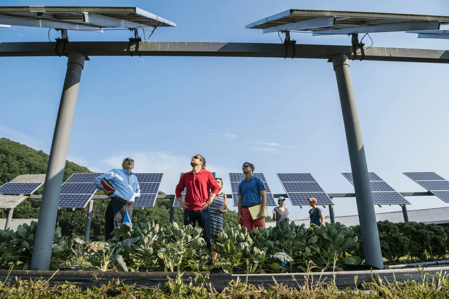 renoguide solar