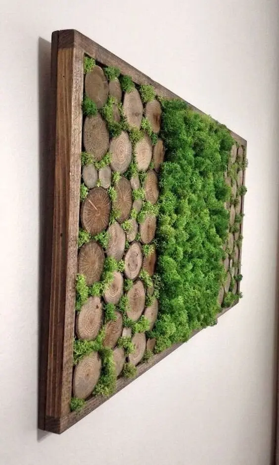 Moss Wall Garden wood project: A shallow frame with a corkboard back, a few wood slices, and peat moss filling the gaps. The