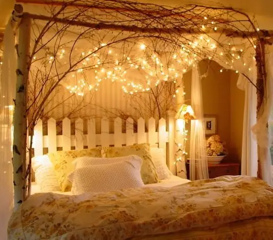 garden bed